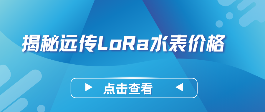 远传LoRa水表多少钱一个啊？——影响远传LoRa水表价格的因素是什么？