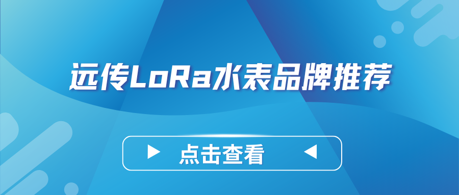 国内远传LoRa水表领域有哪些靠谱的品牌了？——LoRa水表厂家推荐指南